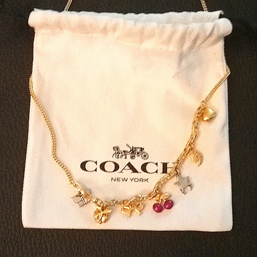Charm necklace